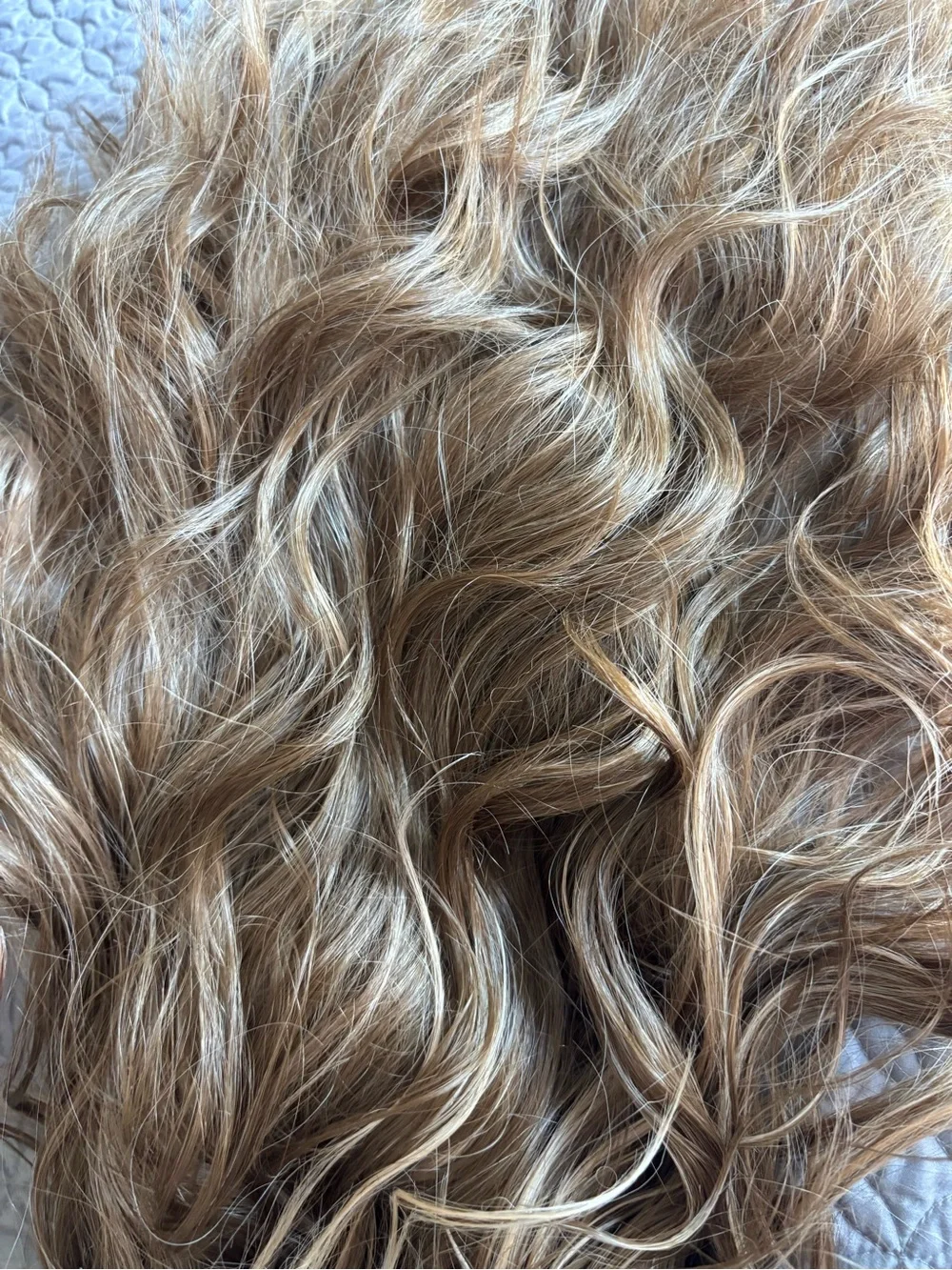 Blondechell Dark dimensional apricot Wig - CSC